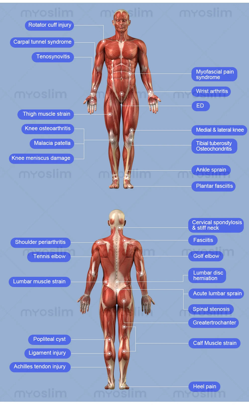 EMSZERO Magnet Therapy PEMF Device For Pain Relief And Recovery