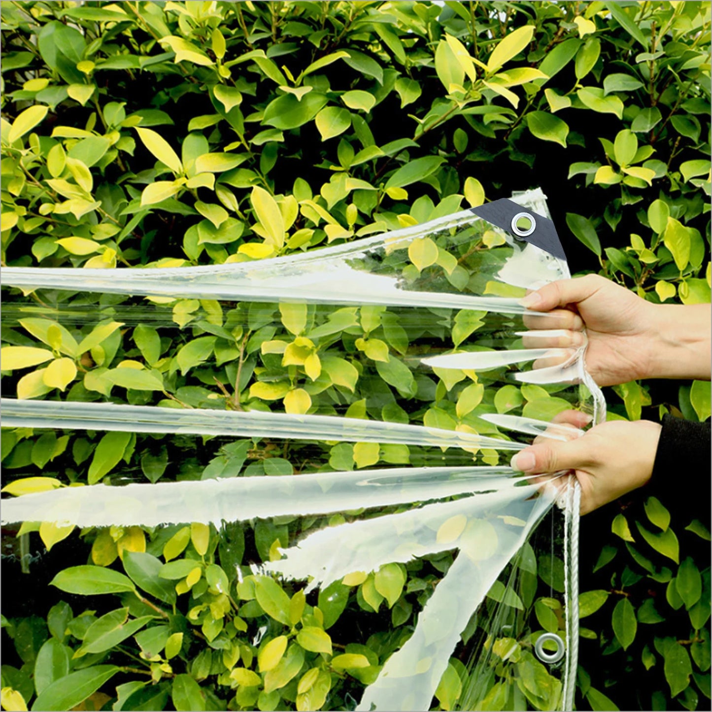 Clear PVC Tarp Heavy Duty Transparent Tarpaulin With Grommets