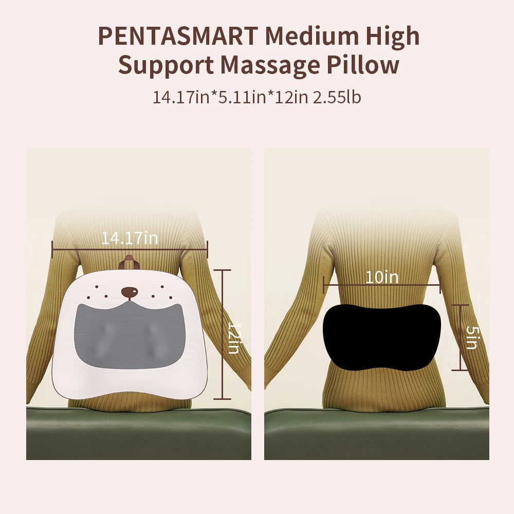 Pentasmart Back And Waist Massager With Heated Vibration